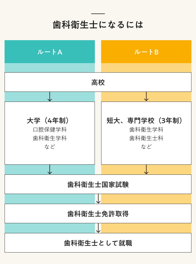 歯科衛生士になるには