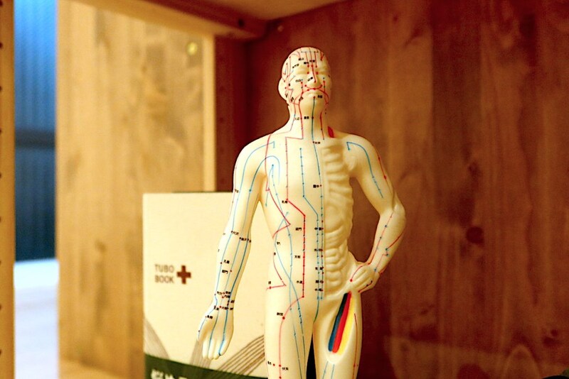 経絡と経穴のイメージ模型