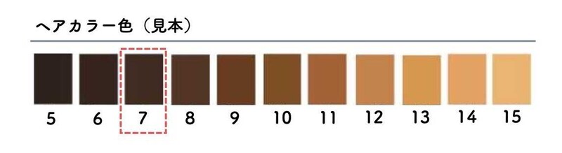 ヘアカラー見本