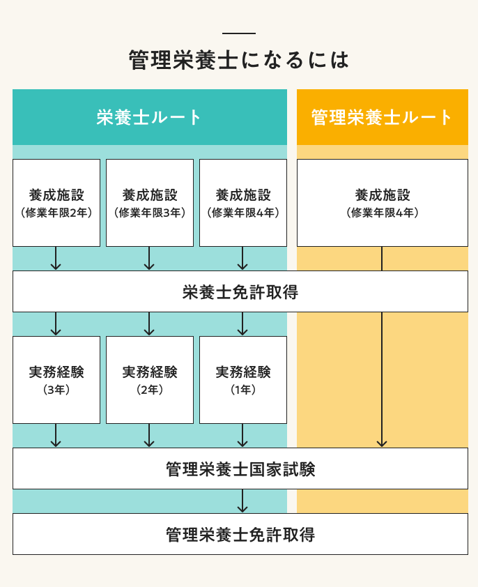 管理栄養士になるには