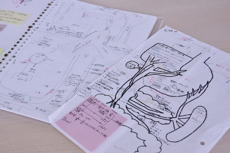 看護師国試浪人時代、解剖生理を理解するために使っていた白地図