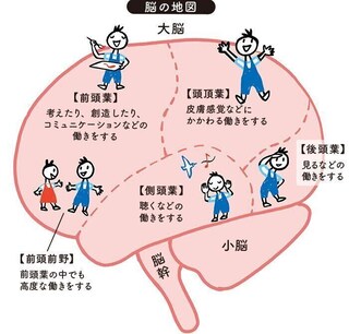赤ちゃん時代は重要！最新の脳科学でわかった、0カ月から10歳の子どもの能力の伸ばし方