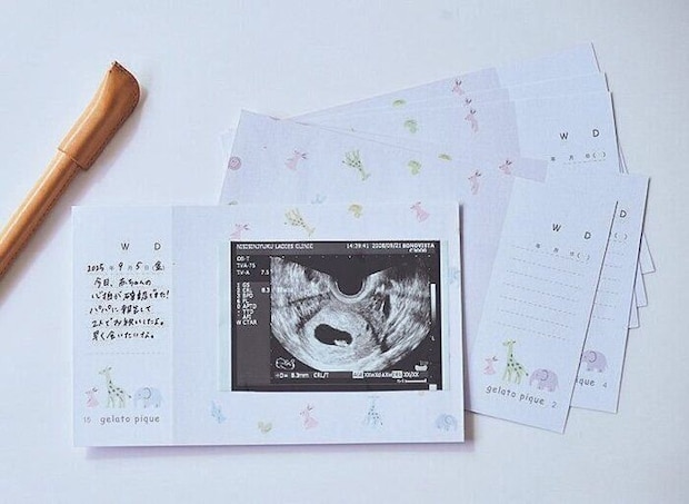 エコー写真専用リフィルアルバム