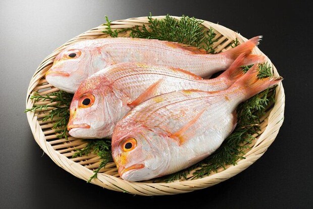 妊娠中のキダイは食べていい？それともダメ？