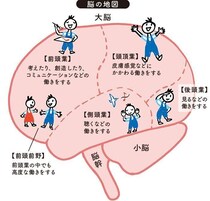 赤ちゃん時代は重要！最新の脳科学でわかった、0カ月から10歳の子どもの能力の伸ばし方