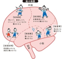 赤ちゃん時代は重要！最新の脳科学でわかった、0カ月から10歳の子どもの能力の伸ばし方