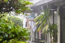 「お天気が怪しい…」そんな日は部屋干しする？外干しする？