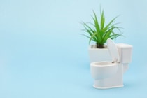 トイレ用のスリッパを使ってる？使ってない？　意外にも約6割が…