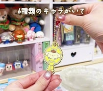 セリア×サンリオ「これ110円で買えるの!?」「新作もかわいすぎ」大人気アイテム5選