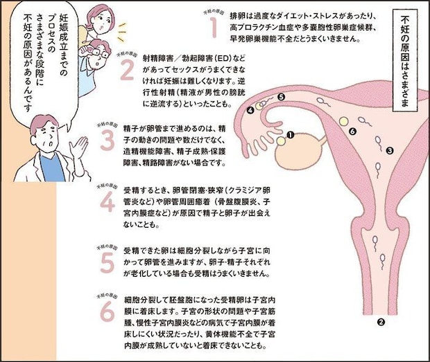 【マンガで解説】検査後いよいよ治療へ…治療の流れを知ろう！不妊治療クリニック受診ガイドSTEP2［男女共通］