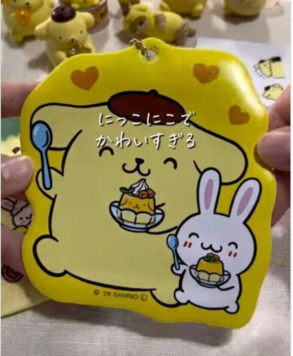 出典:Instagramアカウント「terako_kawaii_kurashi」