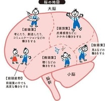 赤ちゃん時代は重要！最新の脳科学でわかった、0カ月から10歳の子どもの能力の伸ばし方