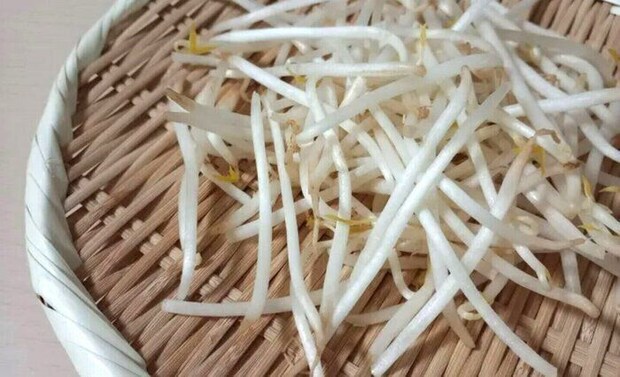 じつは避けたほうがいいかも!?野菜のプロが教える「もやし」のもったいない食べ方
