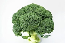 じつは避けたほうがいいかも？野菜のプロが教えるブロッコリーの「もったいない」食べ方