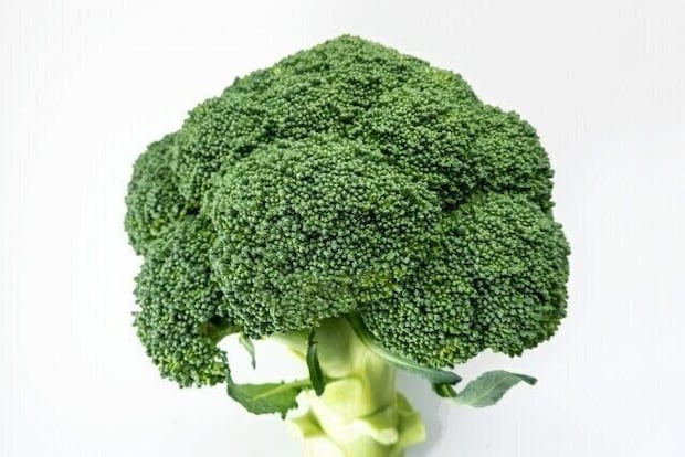 じつは避けたほうがいいかも？野菜のプロが教えるブロッコリーの「もったいない」食べ方