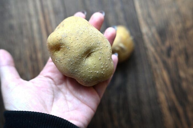 「じゃがいもは冷凍できない」って本当?実際にマッシュして冷凍してみたら驚きの結果に!