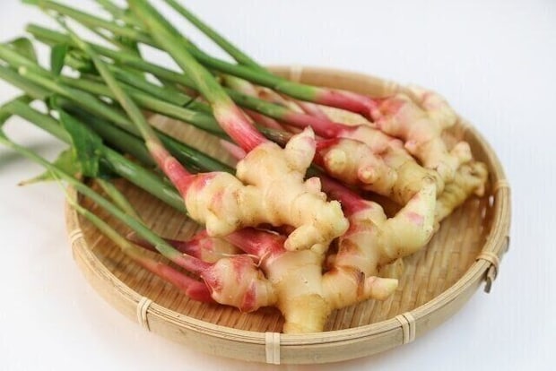 生姜の効果は使い方でここまで違う!「生・加熱・パウダー」知らなきゃ損な正しい使い分け