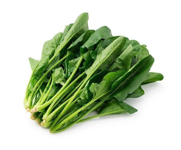 「ほうれん草」を食べすぎるとどうなる?知っておきたいほうれん草のメリット&デメリット