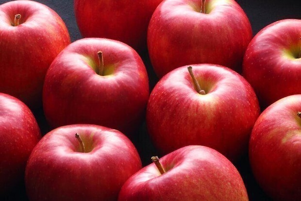 【管理栄養士が解説】りんごはこの食材と食べちゃダメ⁉相性がよくない食材と気をつけるべきポイントとは?