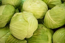 あなたも間違えているかも!?やってはいけないキャベツの保存方法