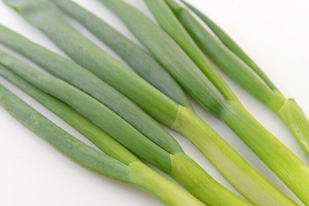 旬の長ネギを買ったらやらなきゃ損!プロが教える長ネギの1番おいしい食べ方