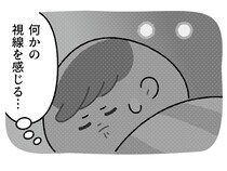 突き刺さる視線！　深夜の襲撃者の話【おにぎりちゃんのゆるっと日常記《その57》】
