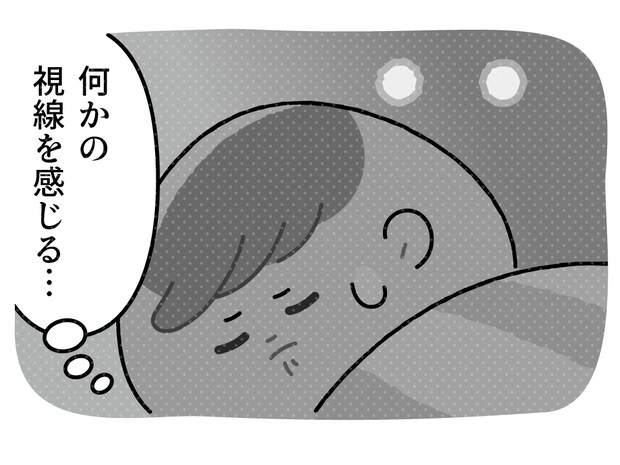 突き刺さる視線! 深夜の襲撃者の話【おにぎりちゃんのゆるっと日常記《その57》】