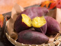 秋の味覚【さつまいも】おすすめレシピ＆美味しさの秘密を徹底解剖！