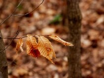 秋冬の乾燥に要注意！ お肌＆家の乾燥対策10選