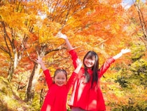 見るだけじゃない！　全国の紅葉まつりをチェック｜各種イベントも盛りだくさん