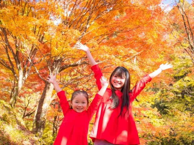 見るだけじゃない! 全国の紅葉まつりをチェック|各種イベントも盛りだくさん