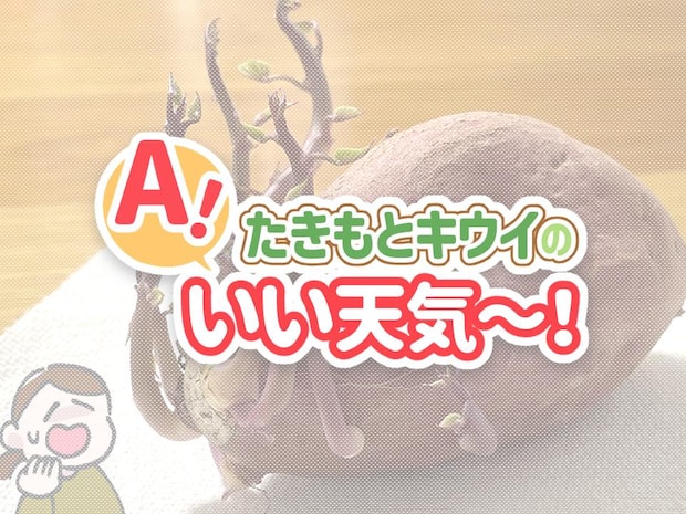 うっかり芽が出たさつまいもで、手作りスタンプ遊び!/たきもとキウイの あ!いい天気~!