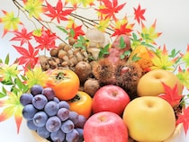 秋のおいしい冒険に出かけよう！　「味覚狩り」ができるおすすめスポットを全国版で紹介