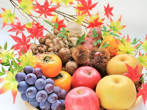 秋のおいしい冒険に出かけよう! 「味覚狩り」ができるおすすめスポットを全国版で紹介