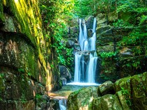 木漏れ日のなかにある、良縁祈願のパワースポット！神様の結婚式場となった聖なる滝｜鳥取県日南町