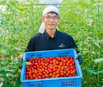 「農業がしたくて移住しました」年間約11tミニトマトを収穫する農家のリアルな暮らしを聞いてみた｜鳥取県琴浦町