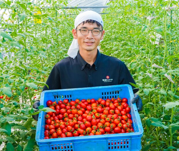 「農業がしたくて移住しました」年間約11tミニトマトを収穫する農家のリアルな暮らしを聞いてみた|鳥取県琴浦町