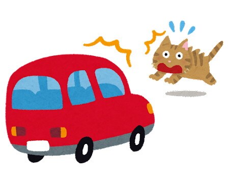 森としっぽ。　松本さん　長谷さん
保護活動支援　ペット防災　避難所
ペット用シェルター　ペットを飼うとき　