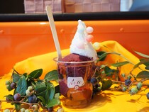 600人の大行列ができるジェラート店【パッチェリービー＠鳥取県南部町】