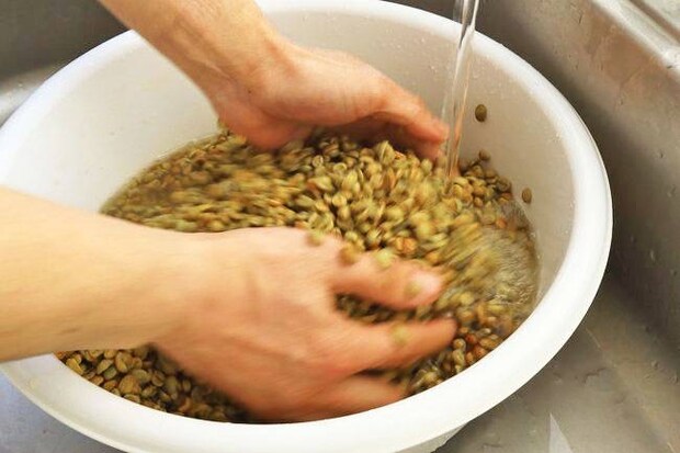 奥大山の水洗い珈琲 奥大山の水洗い珈琲豆 奥大山 鳥取人気土産 おいしい珈琲 珈琲ショップ 珈琲豆 奥大山の天然水 木谷沢渓流 宇多田ヒカル 遠藤明宏さん