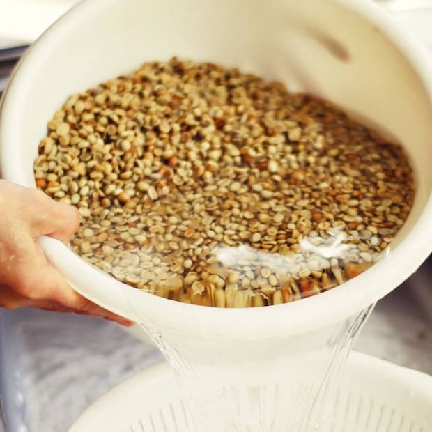 奥大山の水洗い珈琲 奥大山の水洗い珈琲豆 奥大山 鳥取人気土産 おいしい珈琲 珈琲ショップ 珈琲豆 奥大山の天然水 木谷沢渓流 宇多田ヒカル 遠藤明宏さん