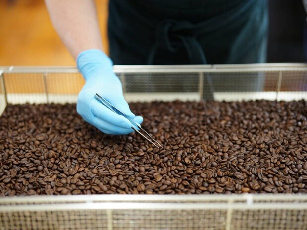 奥大山の水洗い珈琲 奥大山の水洗い珈琲豆 奥大山 鳥取人気土産 おいしい珈琲 珈琲ショップ 珈琲豆 奥大山の天然水 木谷沢渓流 宇多田ヒカル 遠藤明宏さん