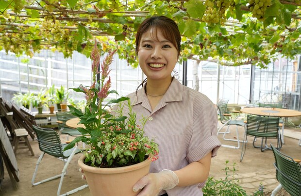 【オズガーデン】山間のガーデンショップ。おすすめの鉢植え体験に挑戦！｜鳥取県八頭町