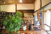 実家を丸ごと改装した古民家カフェ。自然と器、おいしいご飯を楽しむ癒しの空間｜浜田市