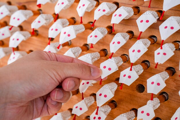 【白蛇神社】巳年に行きたい神社！金運アップ祈願や可愛いおみくじも｜山口県岩国市
