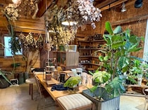 【CORTE】お家に緑がほしい時に。多肉・観葉植物とガーデン雑貨のお店｜米子市