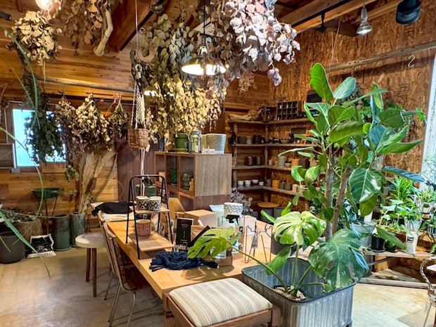 【CORTE】お家に緑がほしい時に。多肉・観葉植物とガーデン雑貨のお店｜米子市