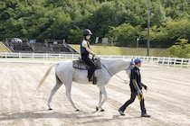 2026午年の注目スポット！優しい馬とふれあえる癒しの施設。初心者OKの引馬体験と餌やりで、心ほぐれるひとときを｜島根県浜田市