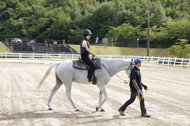 2026午年の注目スポット！優しい馬とふれあえる癒しの施設。初心者OKの引馬体験と餌やりで、心ほぐれるひとときを｜島根県浜田市