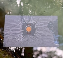 朝ドラ「ばけばけ」にも登場した占いのできる池。縁結びで有名な八重垣神社の鏡の池に行ってきた！｜島根県松江市